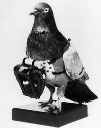 Picture for Weekly Wake-up package